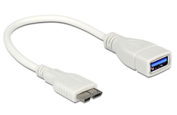 Rallonge USB 3.0 / Micro USB 3.0 Delock - 0,20m