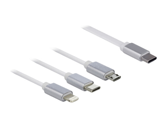 Adaptateur Micro USB vers USB type C Delock - Adaptateur et