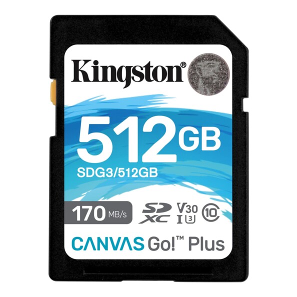 CARTE SD KINGSTON 512GO