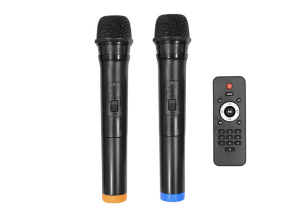 2 micros pour une sono portable avec une télécommande
