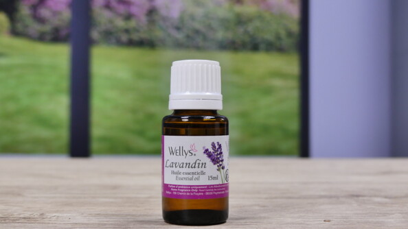 Huile essentiel de lavandin pour un diffuseur d'huile essentiel