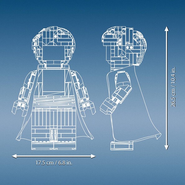 LEGO Harry Potter et Hermione Granger dimension