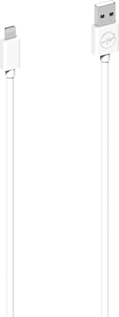 Vue rapprochée de biais des deux extrémités du câble de chargement et de transfert de données du câble Lightning vers USB