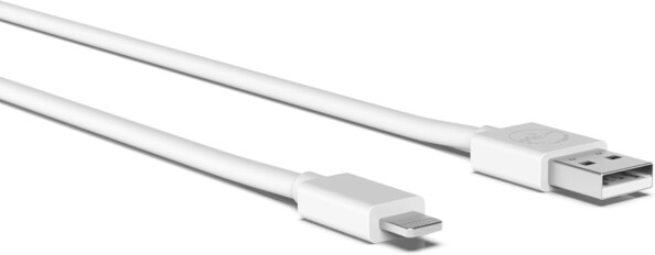 Gros plan sur la fiche Lightning mâle et la fiche USB-A mâle du câble USB 2.0