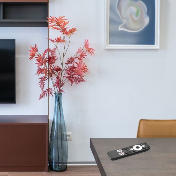 Télécommande avec microphone intégré posée sur la table d'un salon moderne