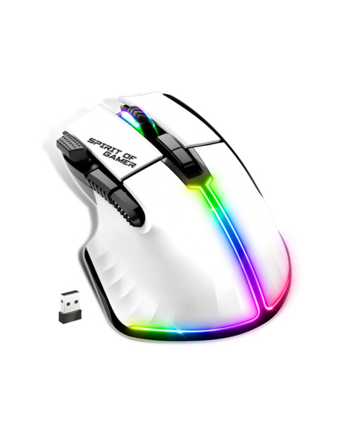 Souris gamer optique ergonomique pour droitier avec rétroéclairage RVB et dongle USB