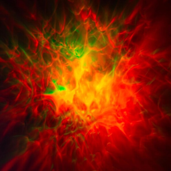 Nuage de nébuleuse couleur automnale rouge, orange et vert