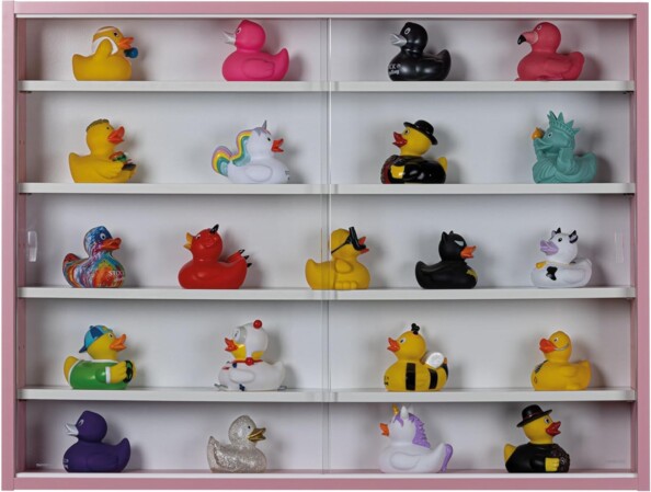 Collection de canards en plastique divers et variés exposée sur 5 étagères d'une vitrine bicolore avec vitre en verre sécurit
