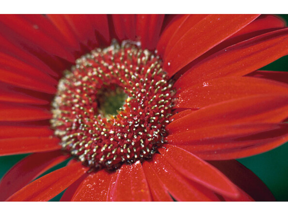 10 feuilles papier photo supérieur brillant A4 - 270 G