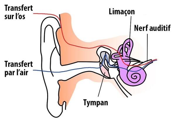 Micro-casque sport et bluetooth ostéophonique étanche BC-40.sh