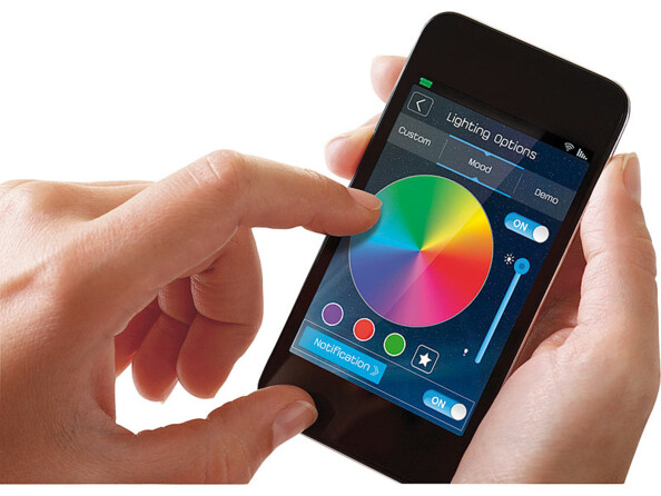 Haut-parleur 30 W avec fonction batterie d'appoint WAE Neo