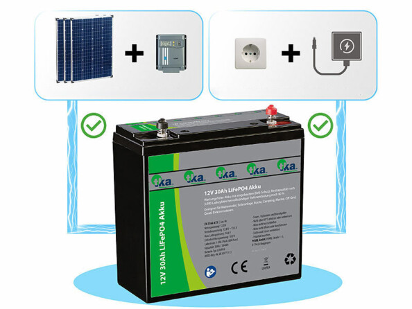 Batterie LiFePO4 12 V 30 Ah 384 Wh avec BMS