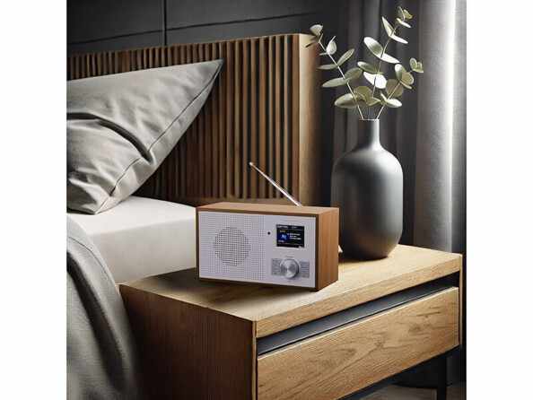 Radio FM/DAB+ avec fonction bluetooth 5.3