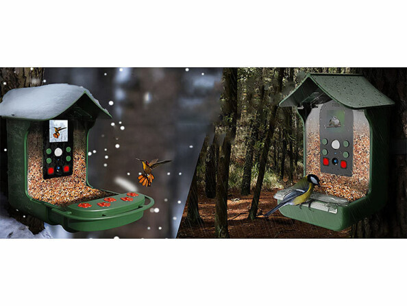 Mangeoire à oiseaux avec caméra Full HD
