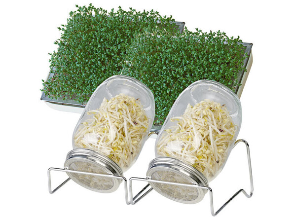 2 bocaux de germination 1 L avec support et bac de récupération