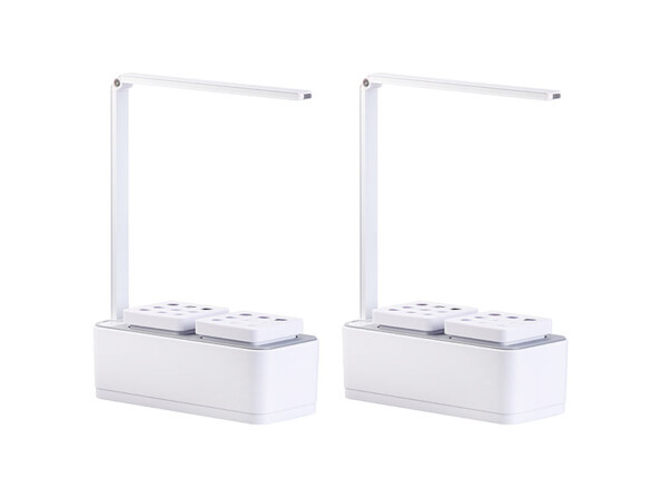 2 mini potagers avec lampe de croissance et arrosage