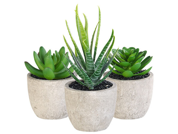 3 succulentes artificielles en plastique avec pots en papier maché