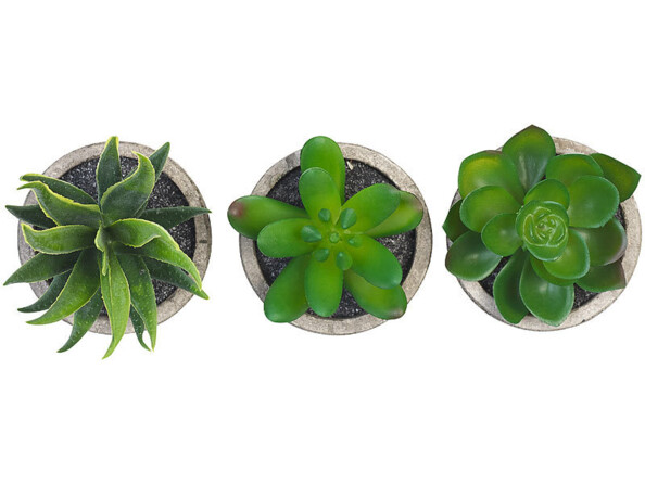 Vue du dessus des trois plantes grasses artificielles plantées en pots