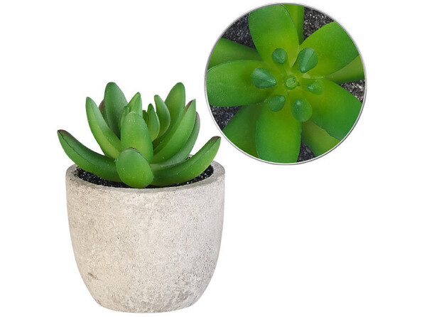 Fausse peony lotus 9 cm en polyéthylène avec aperçu du dessus