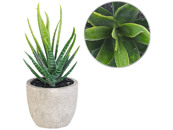 Faux plant d'Aloe Vera 15 cm avec vue du dessus