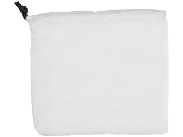 Fer à repasser de voyage à vapeur 110 / 230 V