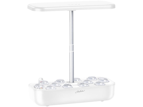 Mini potager. Pompe à eau avec minuterie pour arrosage automatique