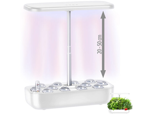 Mini potager pour jusqu'à 12 plantes