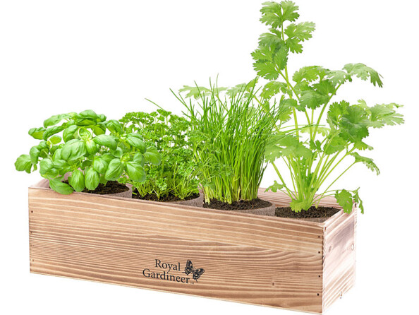 Set de culture d'aromates avec 4 aromates et accessoires