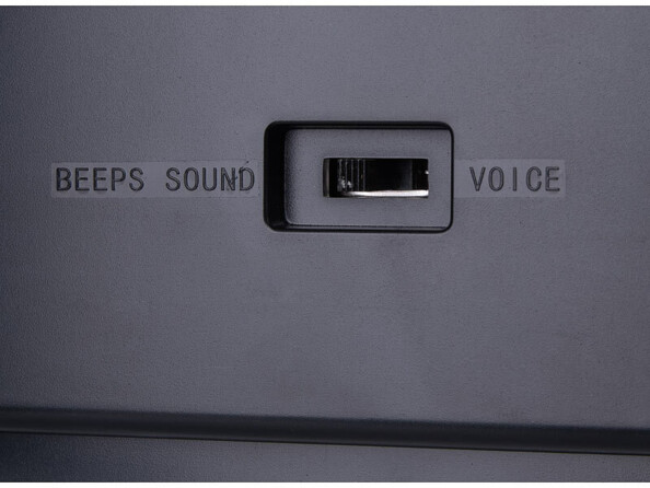 Gros plan sur le commutateur de sélection de l'alarme (voix ou son)