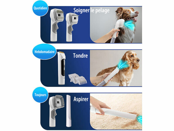 station de toilettage pour chiens et chats