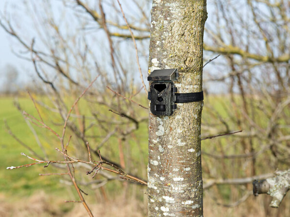 Caméra de chasse 4K connectée No Glow WK-615.app avec panneau solaire