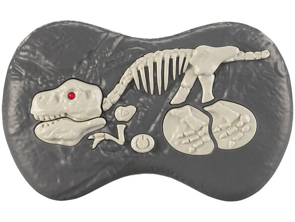 Vue sur la télécommande du dinosaure