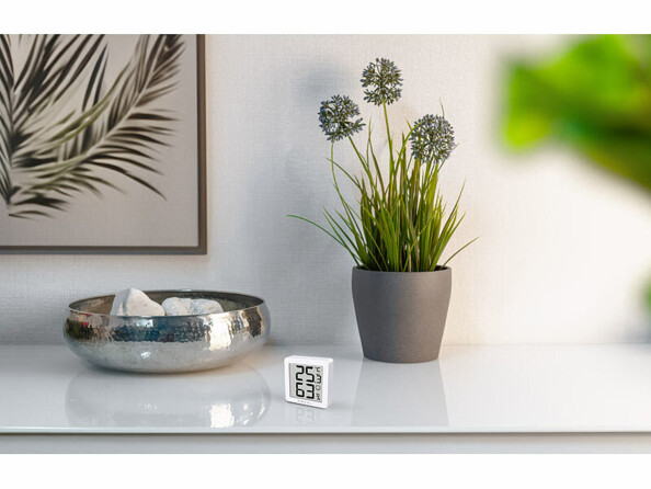 Thermomètre avec hygromètre