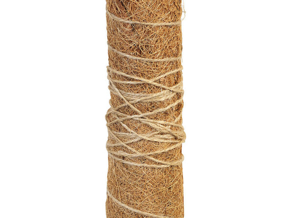 Vue zoomée sur l'assemblage de 2 tuteurs