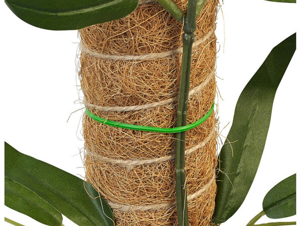 .Pack de 4 tuteurs avec ficelle de fixation