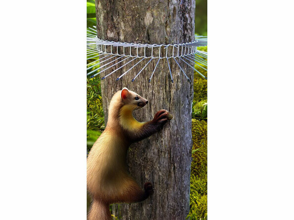 Collier à piques anti-nuisibles Ø 12 cm