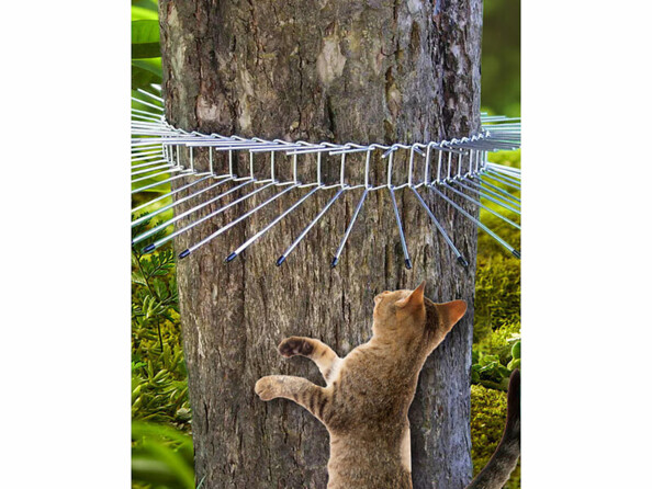 Collier à piques arbre anti-nuisibles Ø 12 cm