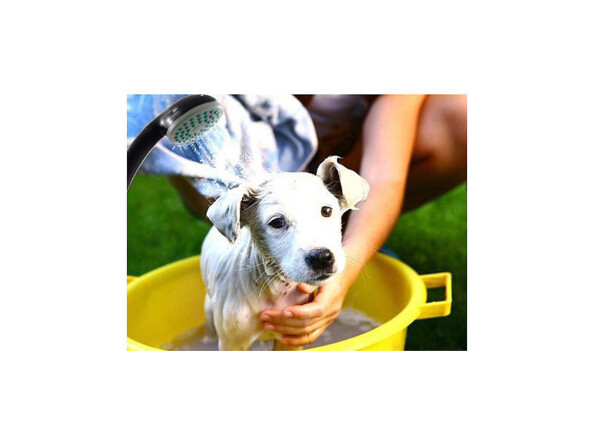 Douche nomade de camping électrique avec batterie