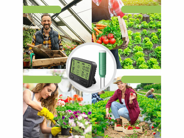 Hygromètre sans fil pour plantes BFM-100