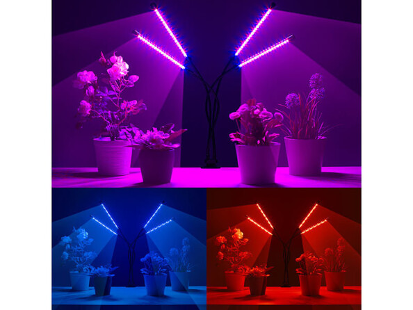 Mise en situation du luminaire de culture LED rouge avec 4 têtes à col de cygne PL-355 de Lunartec éclairant des plantes en croissance avec 3 couleurs de lumière différentes : rouge, bleu et violet