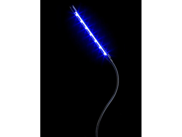 LED bleues de la lampe horticole brillant dans le noir