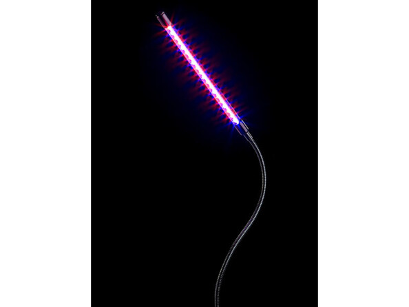 LED violettes de la lampe horticole brillant dans le noir