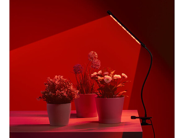 Mise en situation du luminaire de culture LED rouge PL-350 de Lunartec éclairant des plantes en croissance