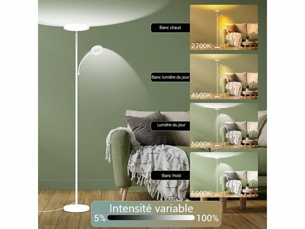 Aperçu des quatre intensités variables de la lampe de salon sur pied avec lampe de lecture intégrée
