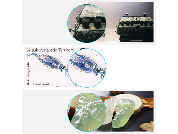 Prises de vues faites avec le microscope nomade Full HD connecté