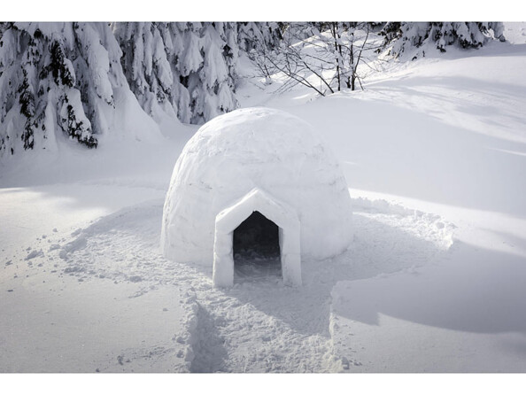 Pelle pliable 3 en 1 en acier carbone