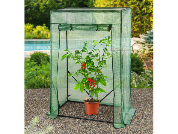 Serre pour tomates - coloris vert mise en situation en extérieur avec plan de tomates