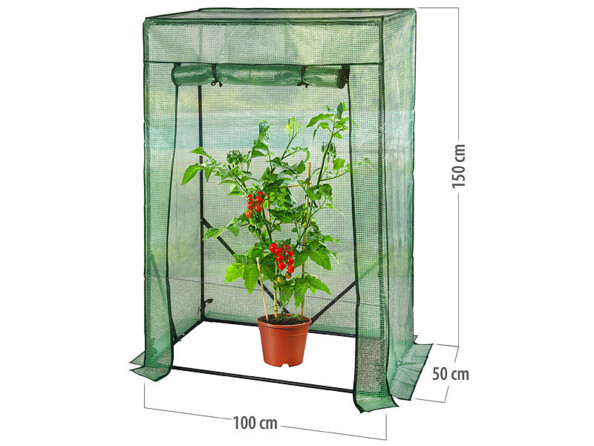 Serre pour tomates - coloris vert vue avec dimensions