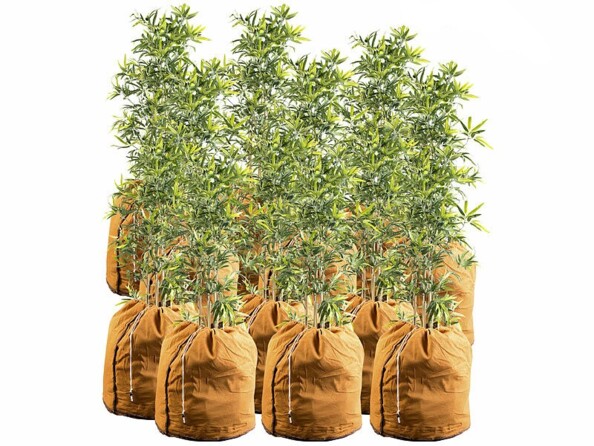 Pack de 12 housses d’hivernage pour plantes de 70 x 65 cm de la marque Royal Gardineer