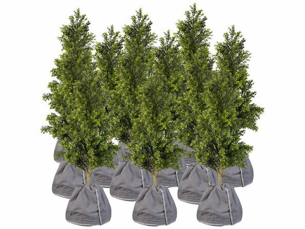 12 housses d’hivernage pour pot 50 x 45 cm de la marque Royal Gardineer